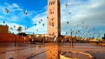 Active Treks Morocco - High Atlas and Marrakech tour